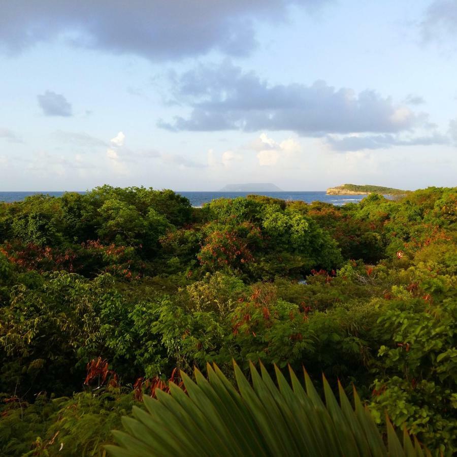 Kahouanne Villa Tarare المظهر الخارجي الصورة